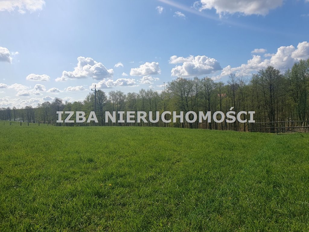 Działka rekreacyjna na sprzedaż Grabnik  3 000m2 Foto 18