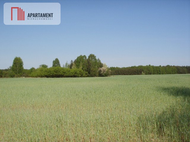 Działka 3007 m2 w spokojnej okolicy z mediami i lasem Świekatowo  3 007m2 Foto 1