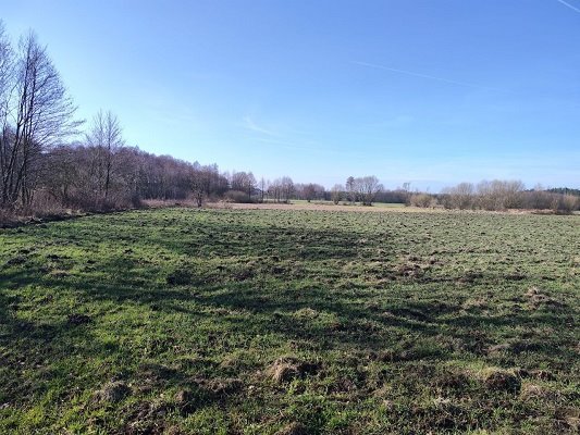 Działka 950m² z mediami i warunkami zabudowy - Ceków-Kolonia Ceków-Kolonia, Prażuchy Stare  950m2 Foto 1