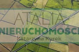 Działka 3315 m² z mediami i planem zabudowy (Skierniewice) Rzeczków  3 315m2 Foto 1