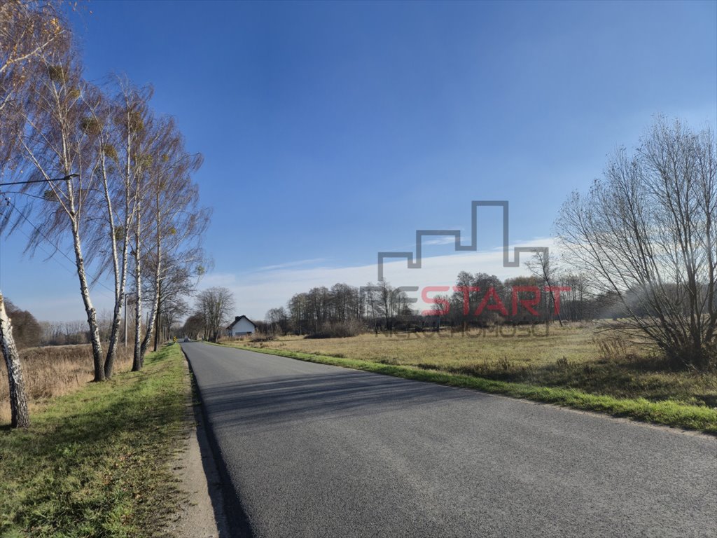 Działka budowlana na sprzedaż Budy Zosine  1 267m2 Foto 1