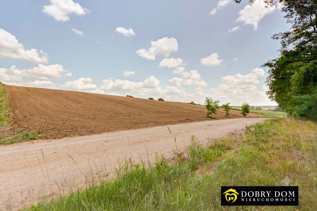 Na sprzedaż działka inwestycyjna 3003 m² pod magazyny i usługi Złotoria  3 003m2 Foto 1