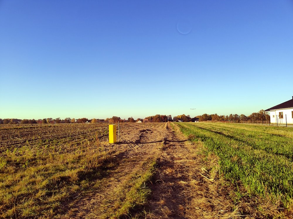 Działka budowlana na sprzedaż Myśliszewice, Długa  1 282m2 Foto 8