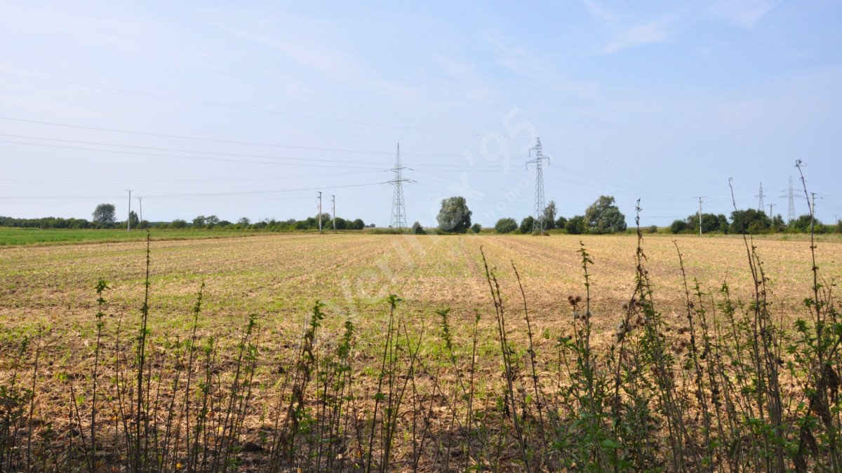 Działka rolna na sprzedaż Zamysłowo  19 027m2 Foto 5