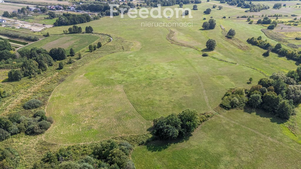 Działka rolna na sprzedaż Ostrówiec  3 924m2 Foto 12