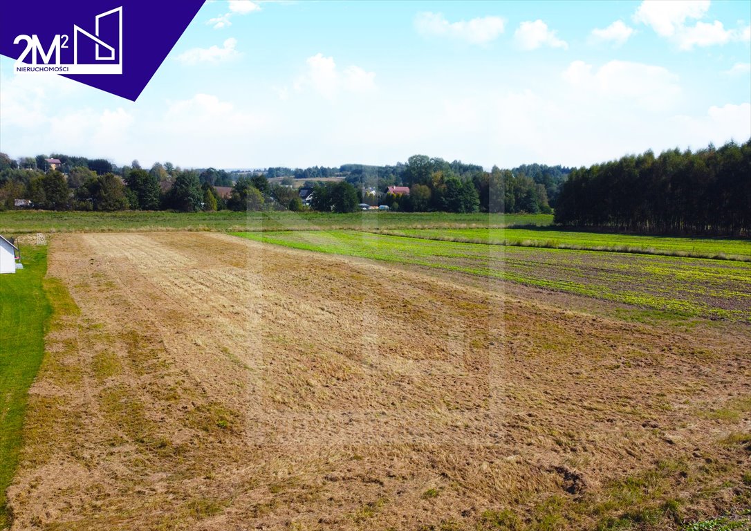 Działka budowlana na sprzedaż Niechobrz  3 000m2 Foto 5