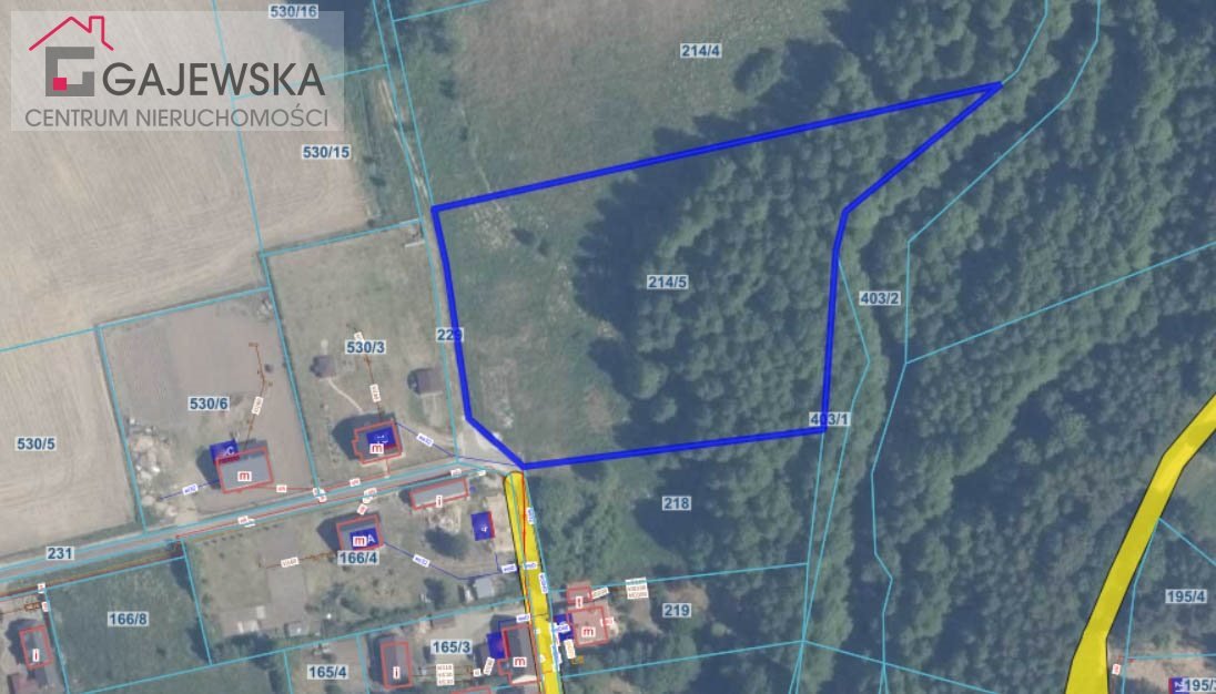 Działka 9177 m² z warunkami zabudowy w Golcach - polecam Golce  9 177m2 Foto 1