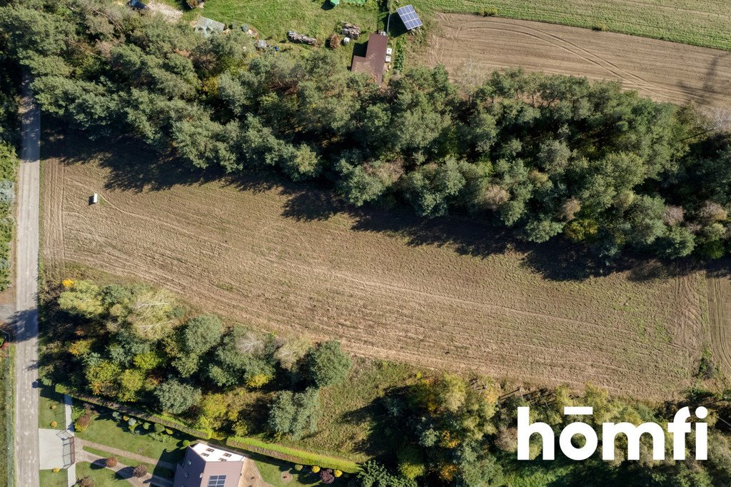 Działka budowlana na sprzedaż Brzeziny  4 100m2 Foto 4