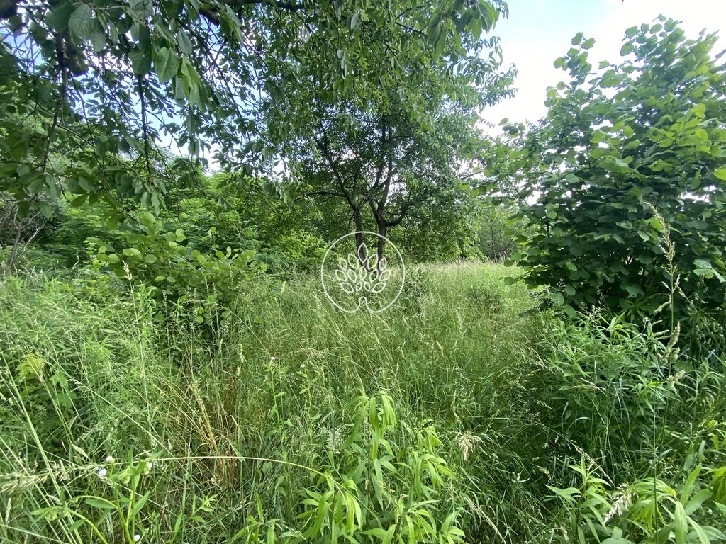 Działka budowlana na sprzedaż Tryszczyn  1 380m2 Foto 4