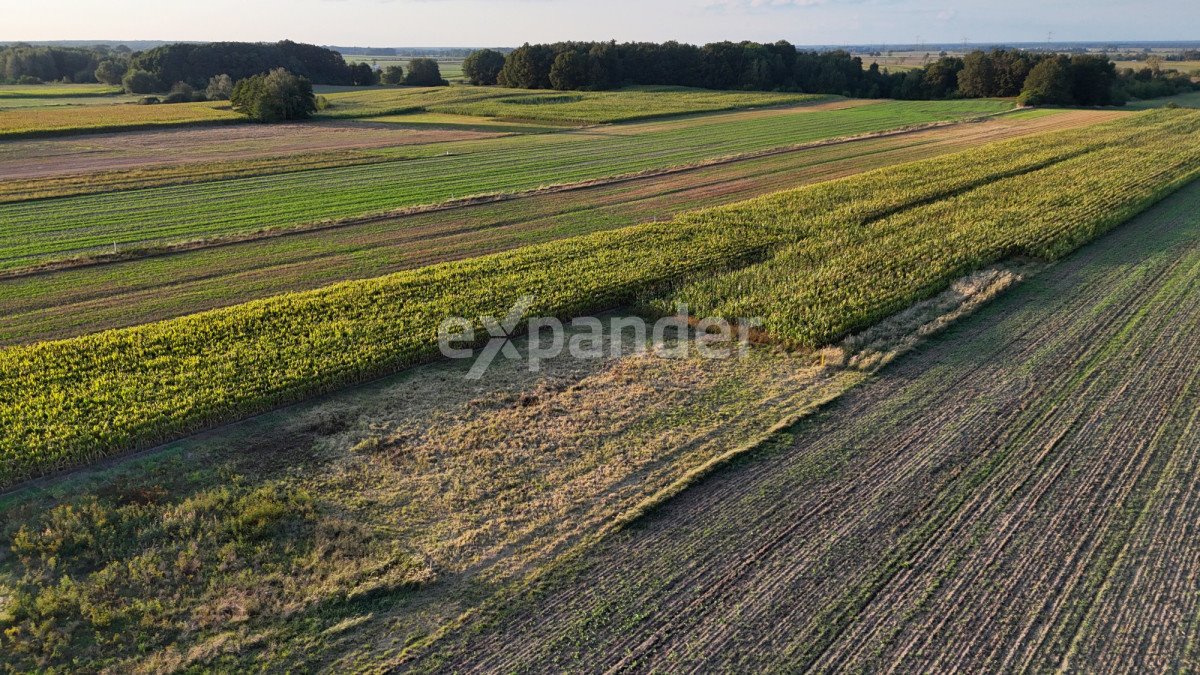 Działka budowlana na sprzedaż Polska Nowa Wieś  800m2 Foto 8