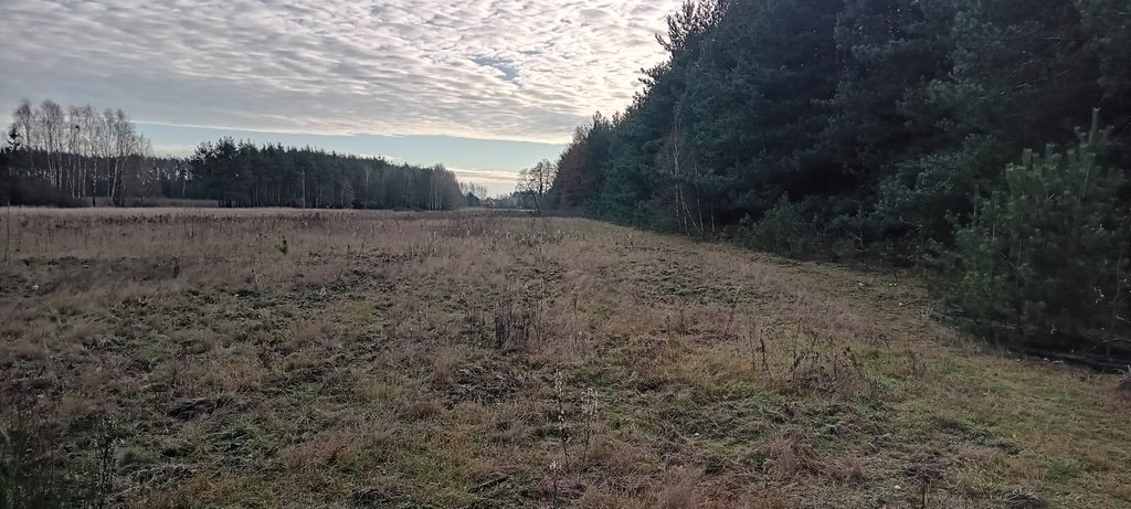 Działka budowlana na sprzedaż Redlanka  3 469m2 Foto 5