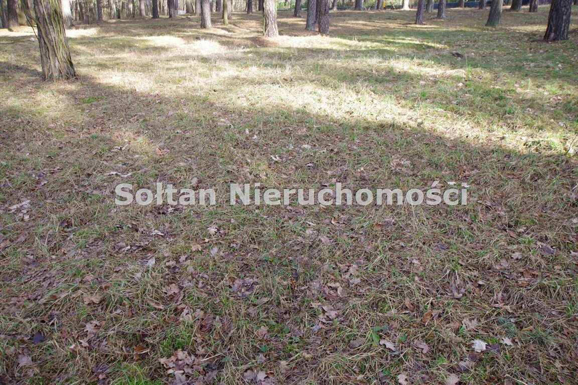 Działka budowlana na sprzedaż Borowina  14 000m2 Foto 1