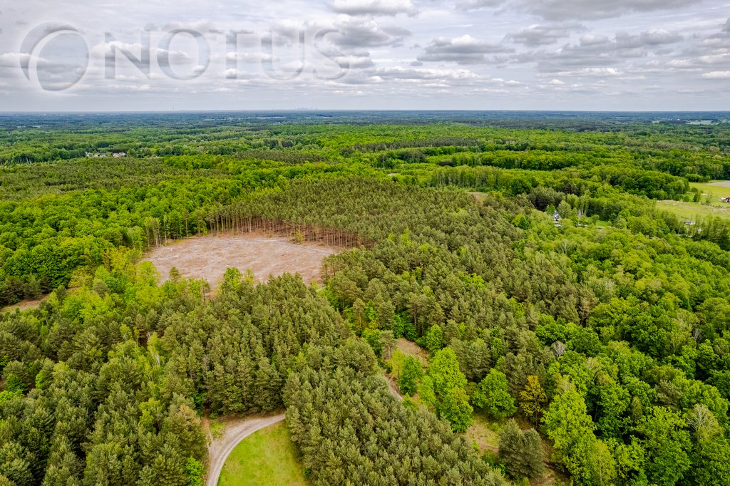 Działka inna na sprzedaż Radziejowice, Do Lasu  4 297m2 Foto 1