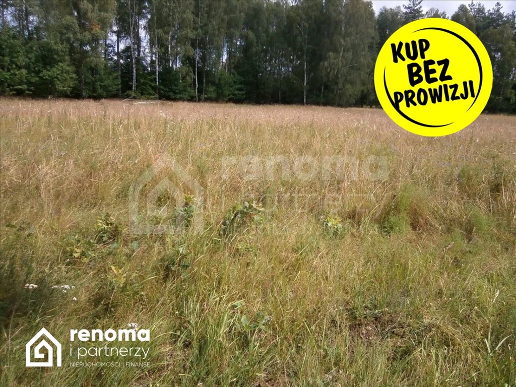 Działka gospodarstwo rolne na sprzedaż Powidz  4 100m2 Foto 2