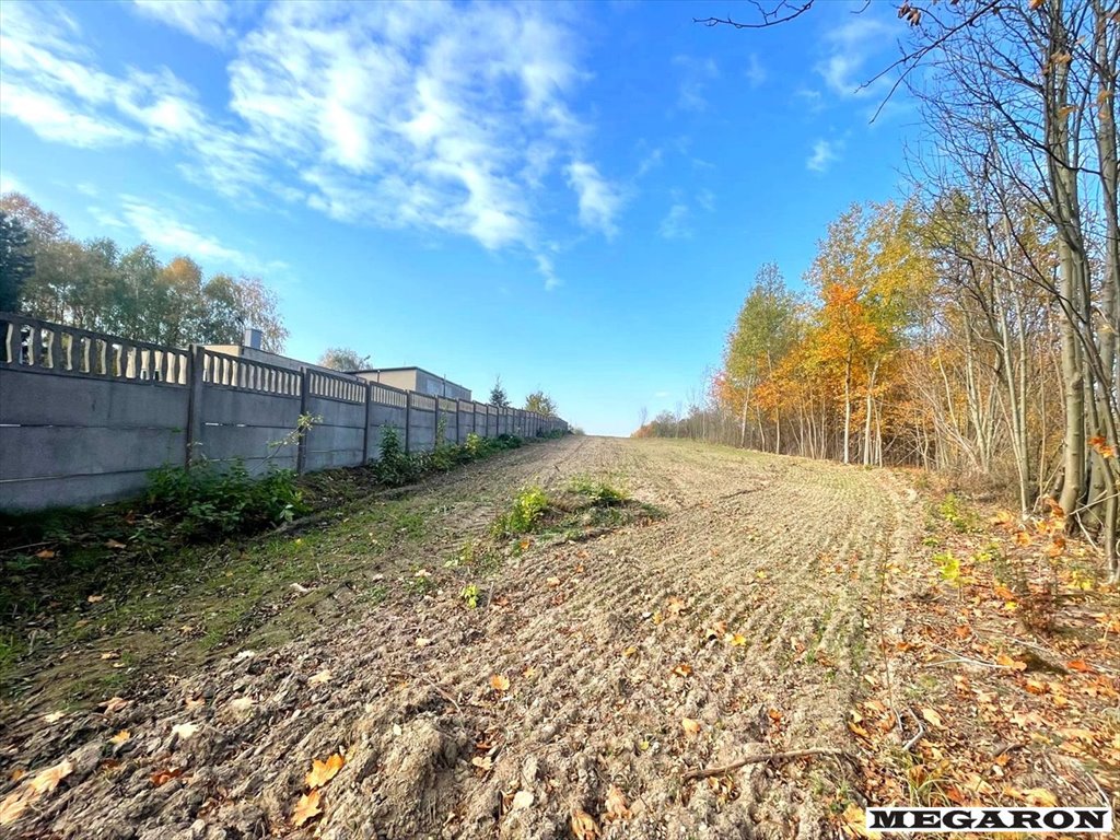 Działka budowlana na sprzedaż Częstochowa, Kiedrzyn  10 853m2 Foto 8