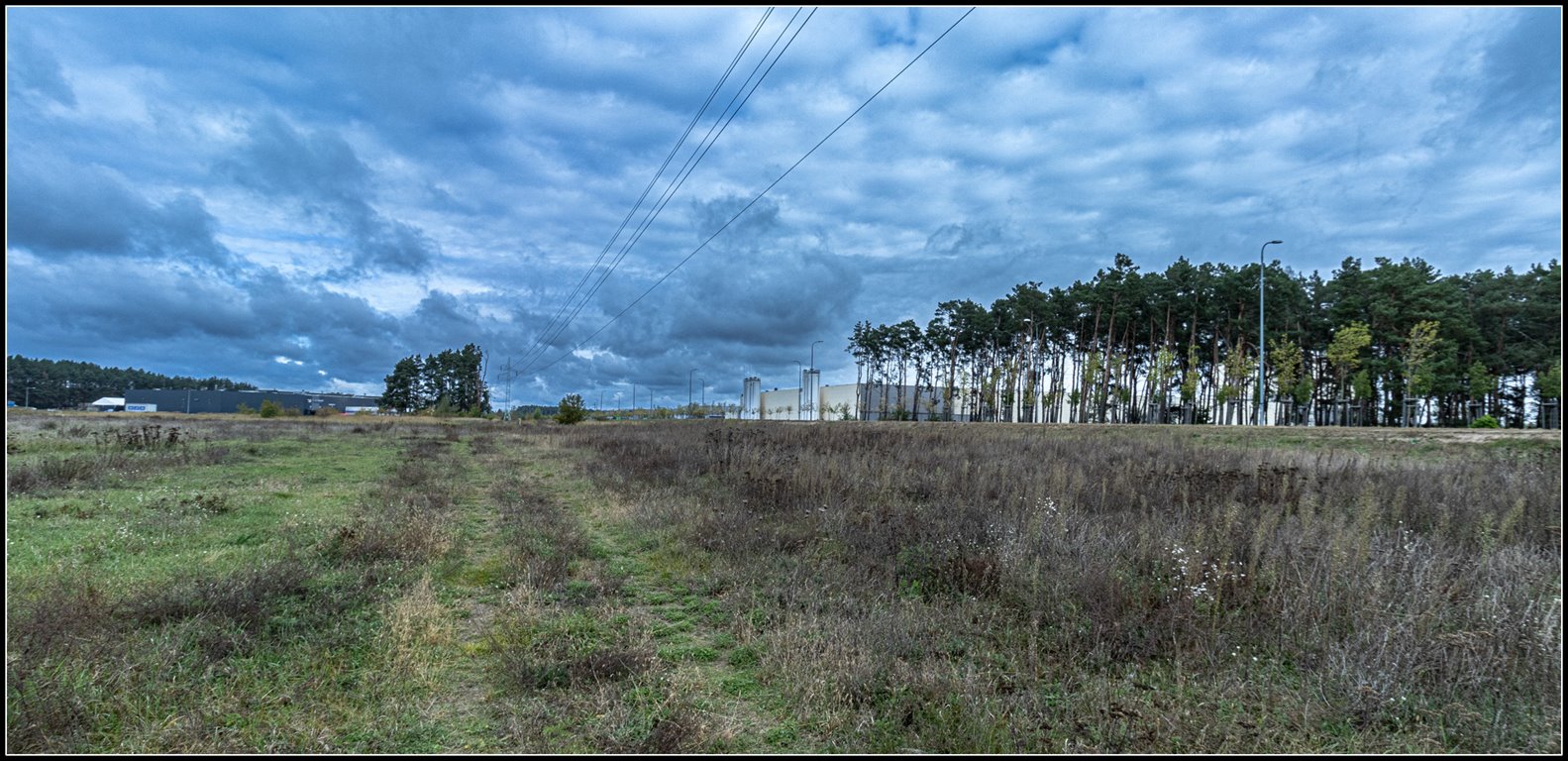 Działka przemysłowo-handlowa na sprzedaż Nowa Sól, Dolnośląska  20 079m2 Foto 13