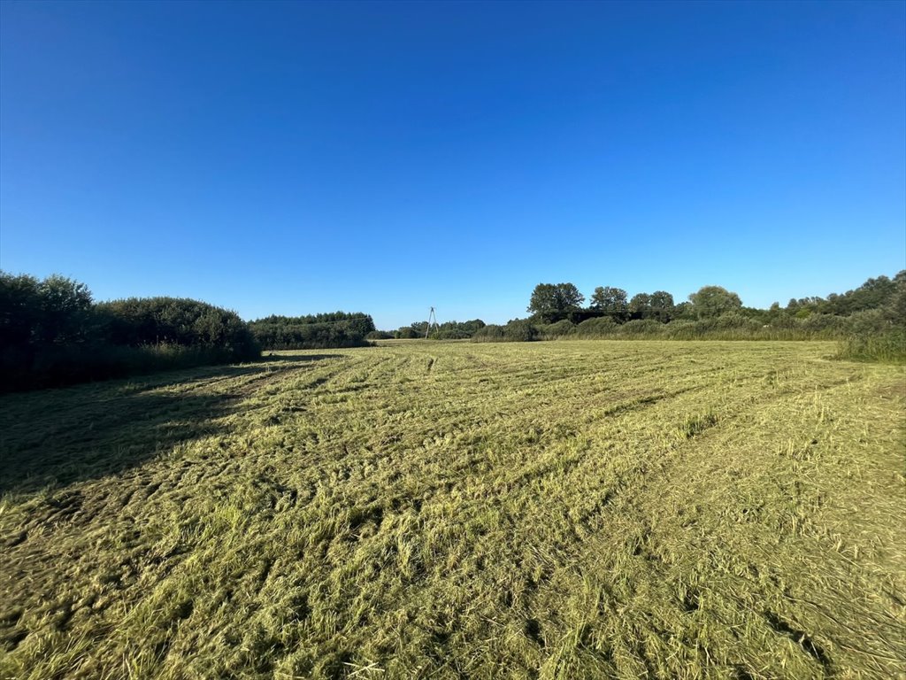 Działka rolna na sprzedaż Siedliszcze  74 700m2 Foto 3