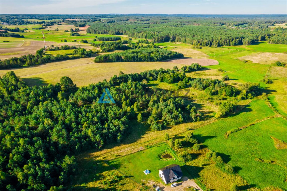 Działka siedliskowa na sprzedaż Rokity  10 001m2 Foto 5