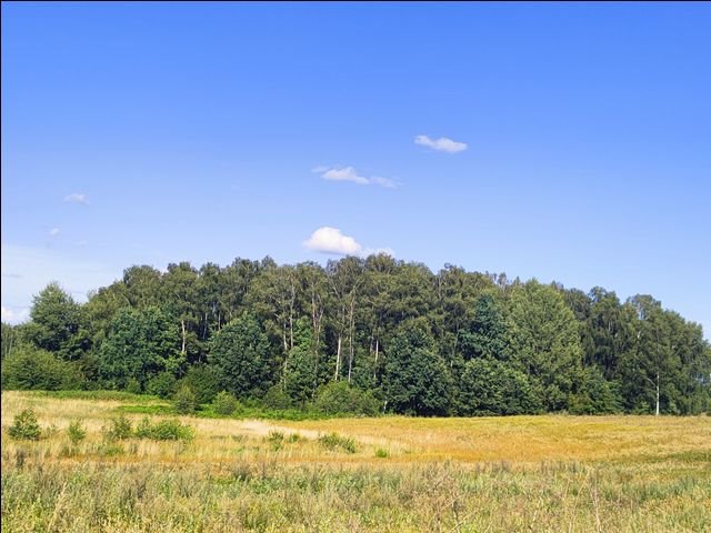 Działka leśna na sprzedaż Wołowno  19 700m2 Foto 4