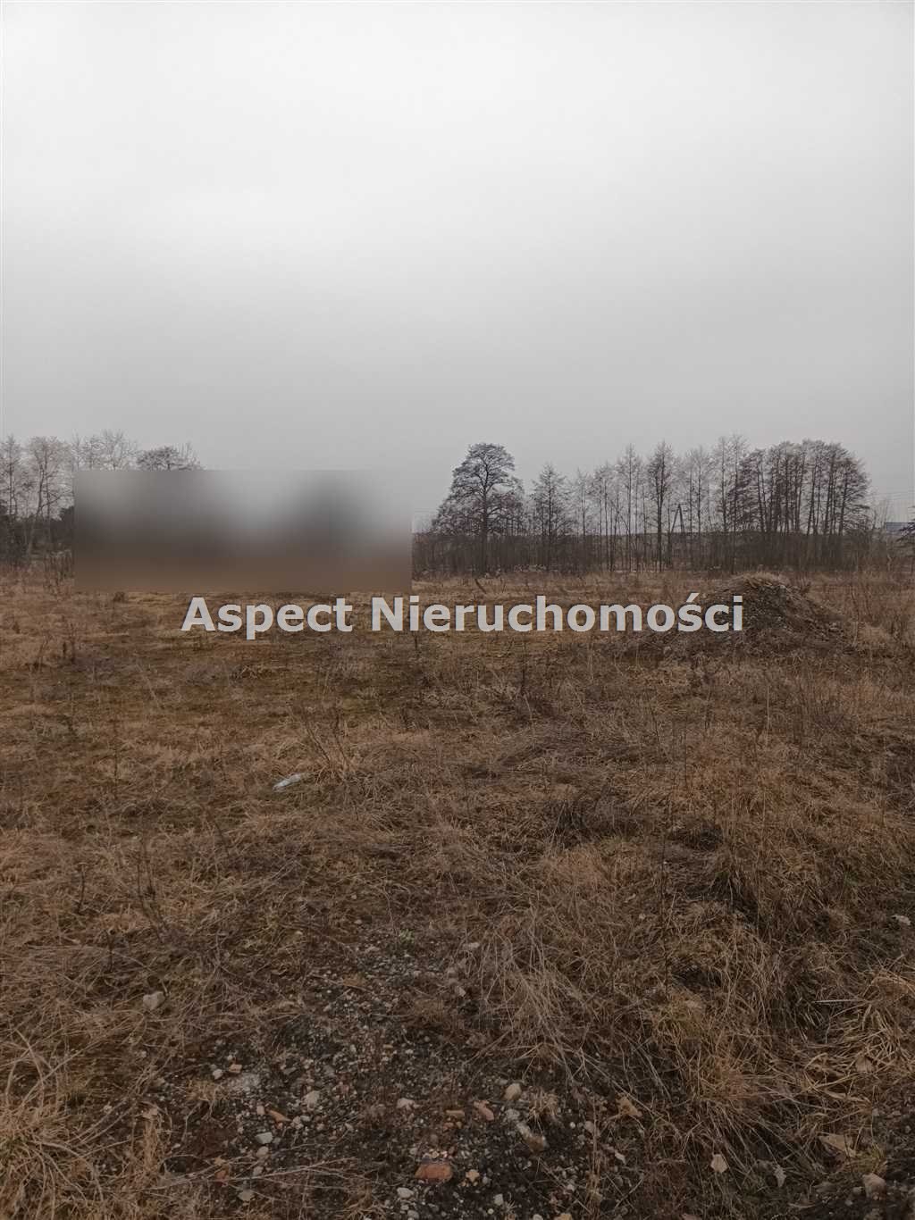 Działka budowlana na sprzedaż Żory, Baranowice  8 627m2 Foto 4