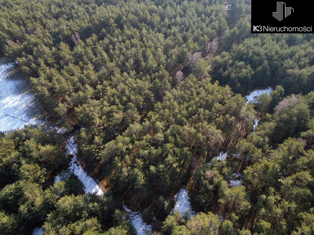 Działka leśna na sprzedaż Stoczek, Leśna  3 500m2 Foto 3
