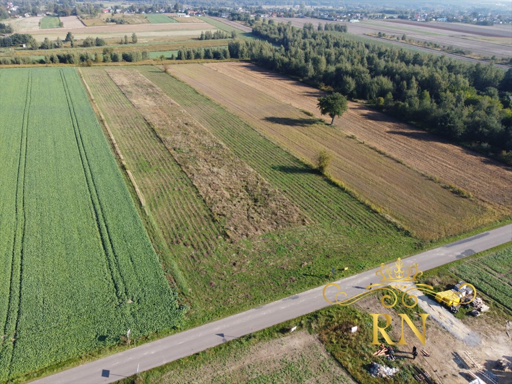 Działka budowlana na sprzedaż Rudka Kozłowiecka  1 000m2 Foto 2