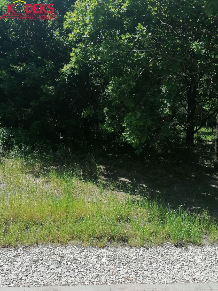 Działka 6388 m² pod zabudowę usługową i mieszkaniową zapraszam Jabłonna  6 388m2 Foto 1