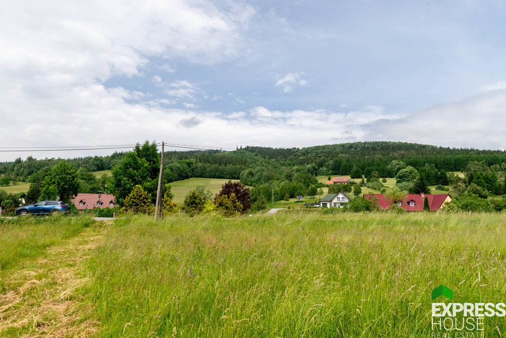 Działka budowlana na sprzedaż Stronie Śląskie  4 069m2 Foto 14