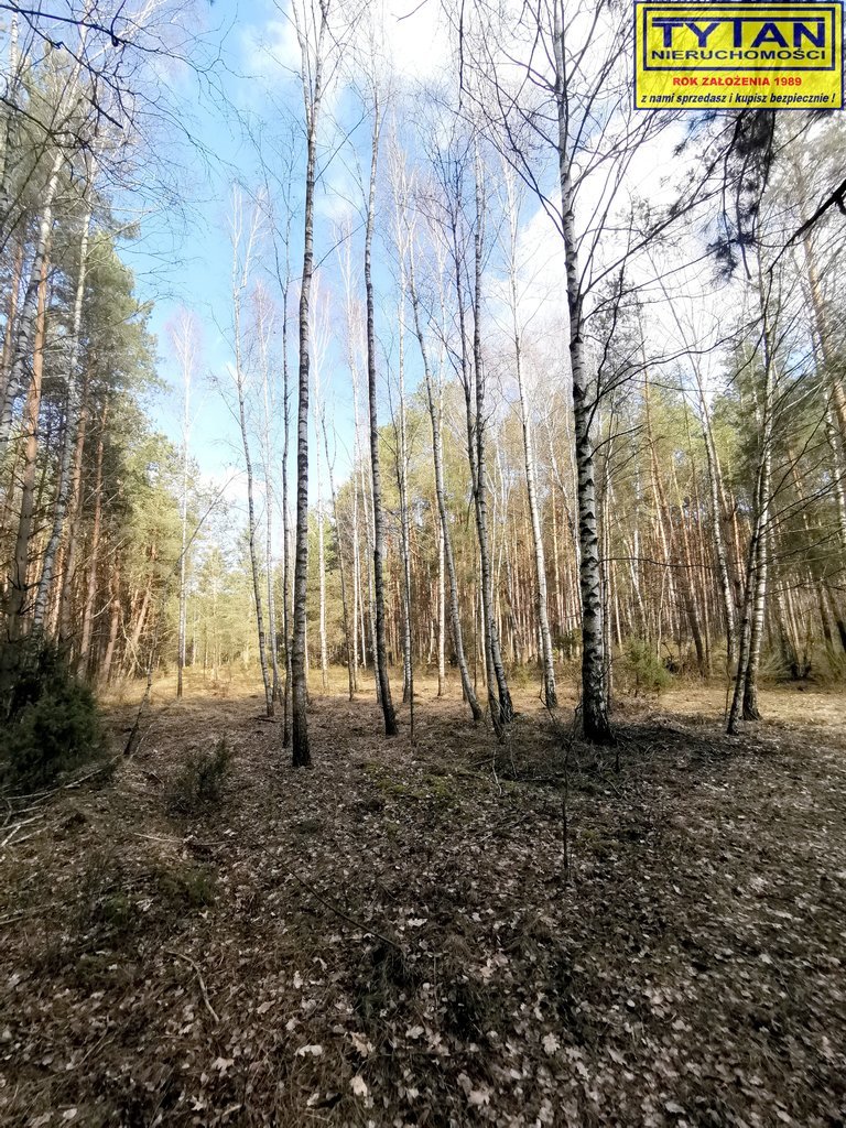 Działka leśna na sprzedaż Olszewo  3 500m2 Foto 4