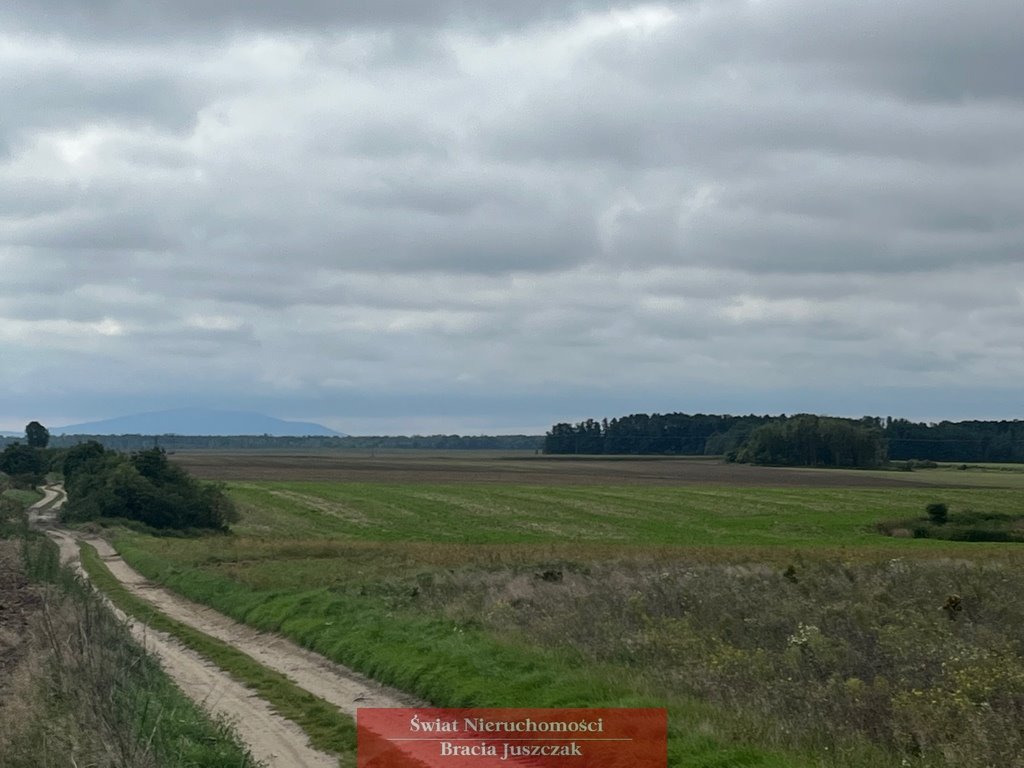 Działka budowlana na sprzedaż Kryniczno  1 134m2 Foto 4