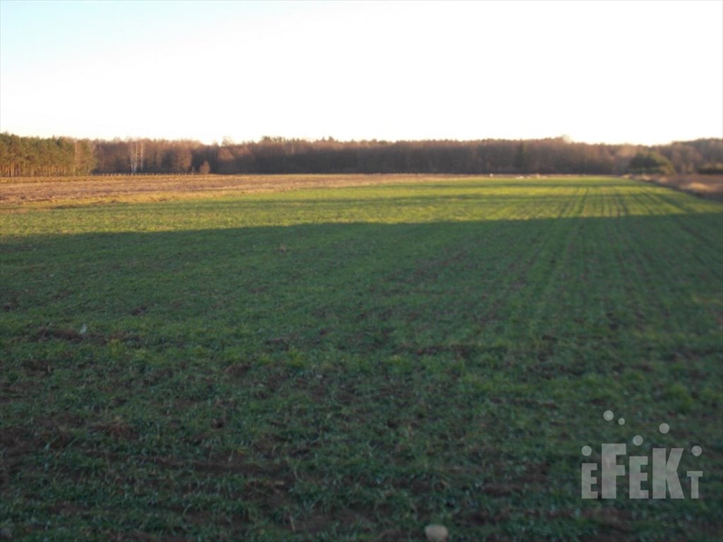 Działka rolna na sprzedaż Lisowola  10 900m2 Foto 3