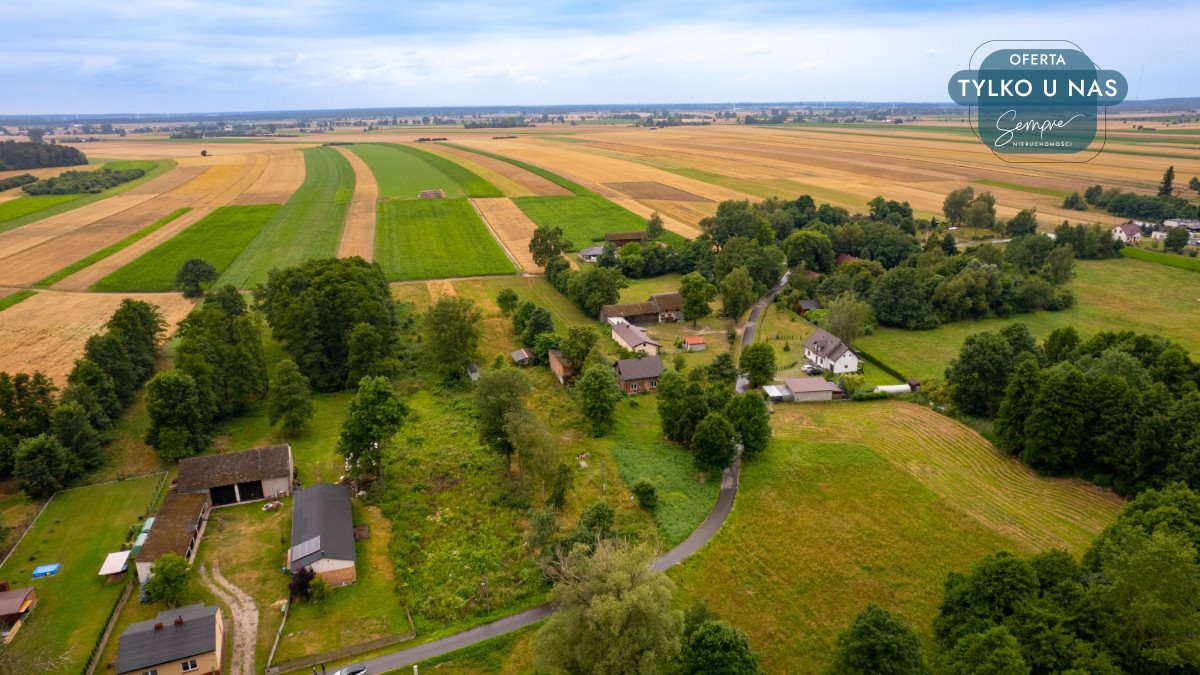 Działka budowlana na sprzedaż Magnusy  3 713m2 Foto 6