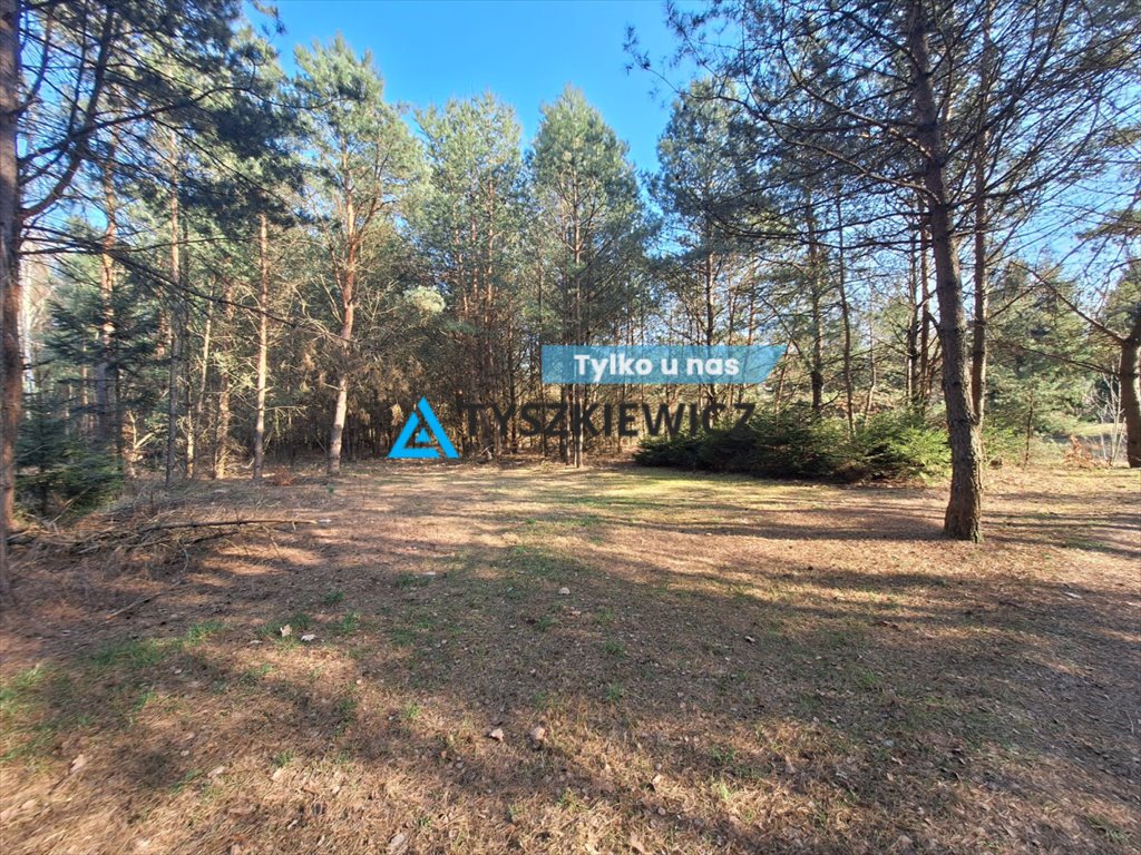 Urokliwa działka w Franku z lasem i mediami, 1002 m2 Frank, Osiedlowa  1 002m2 Foto 1