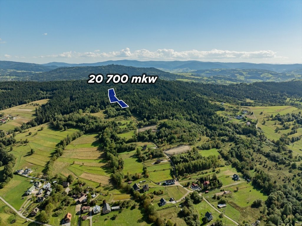 Leśna działka 20 700 m² w Kasina Wielka - zapraszam: Kasina Wielka