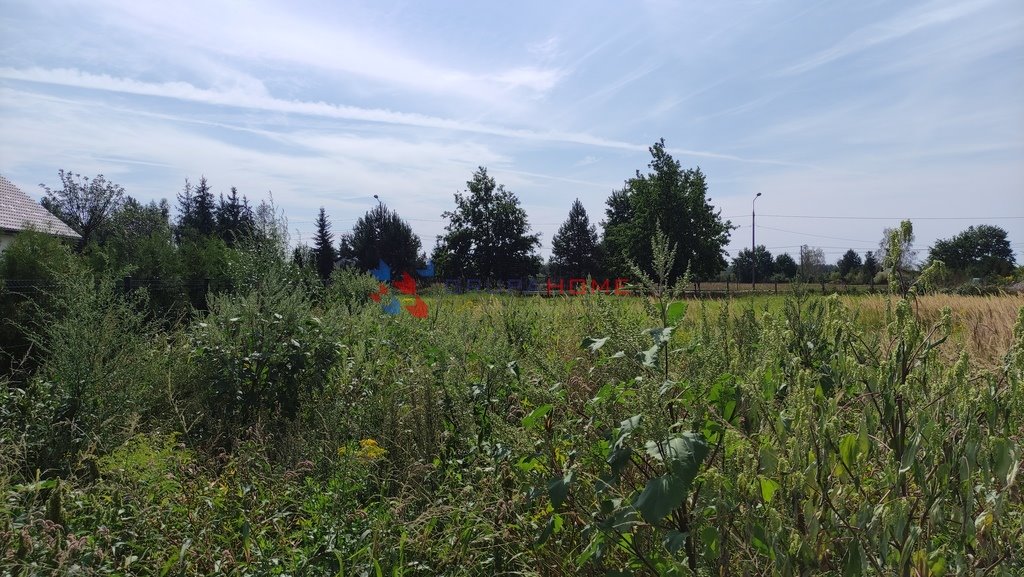 Działka budowlana na sprzedaż Dobiesz  1 000m2 Foto 3