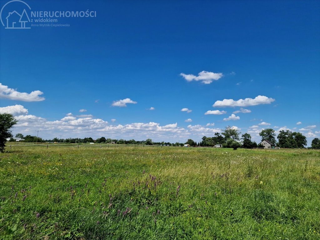 Działka komercyjna na sprzedaż Niepołomice  2 667m2 Foto 4