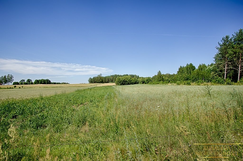 Działka rolna na sprzedaż Kuplisk, Kamienica  28 000m2 Foto 11