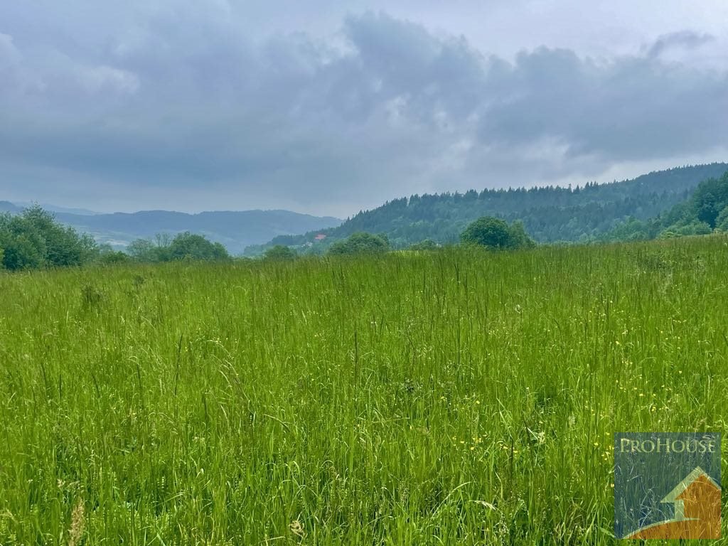 Działka rolna na sprzedaż Kamienica  5 600m2 Foto 4