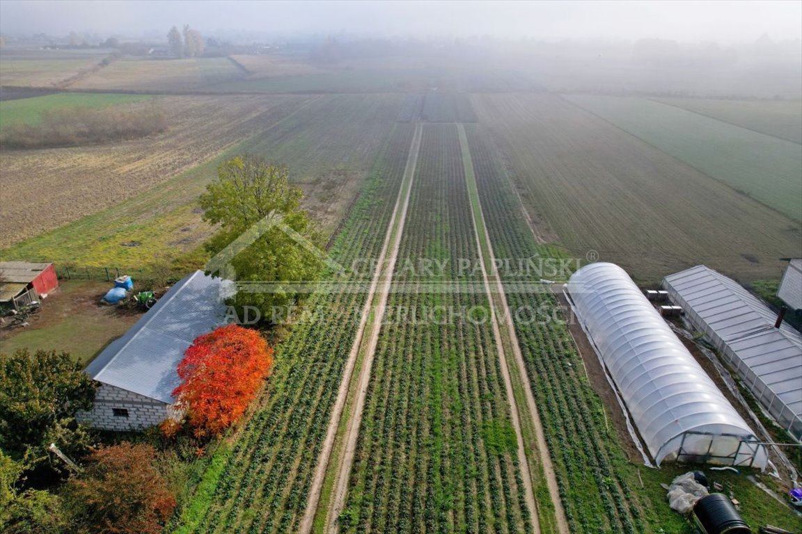 Działka budowlana na sprzedaż Zezulin Niższy, Zezulin  10 017m2 Foto 4