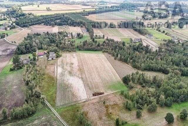 Działka rolna na sprzedaż Brzózki  30 500m2 Foto 5