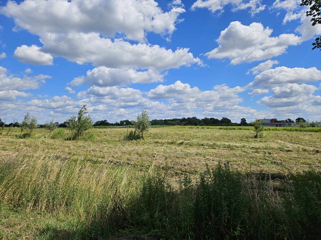 Działka budowlana na sprzedaż Bieniewo-Parcela  1 001m2 Foto 3