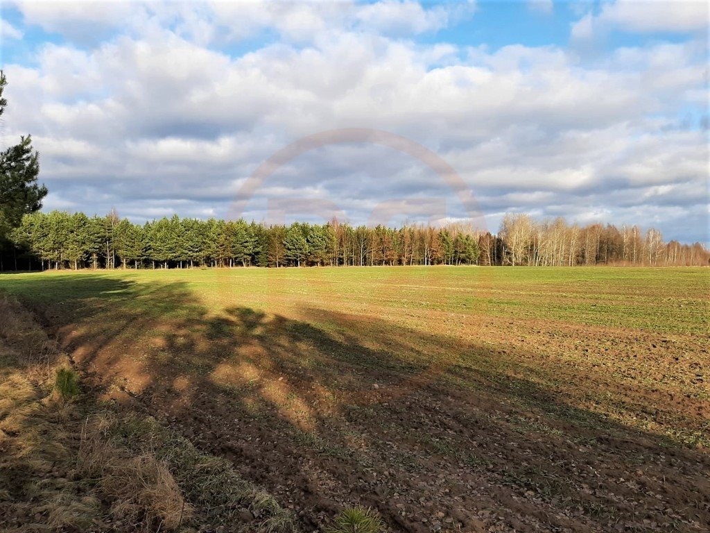 Działka budowlana na sprzedaż Regiel  1 058m2 Foto 14