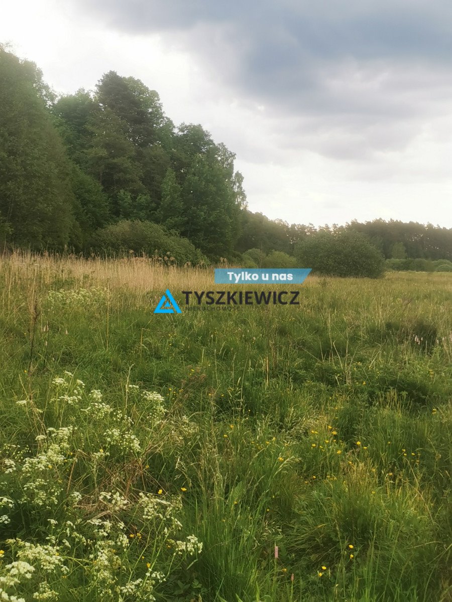 Duża działka 21 600 m² nad rzeką Prusina w Osiecznej Osieczna  21 600m2 Foto 1