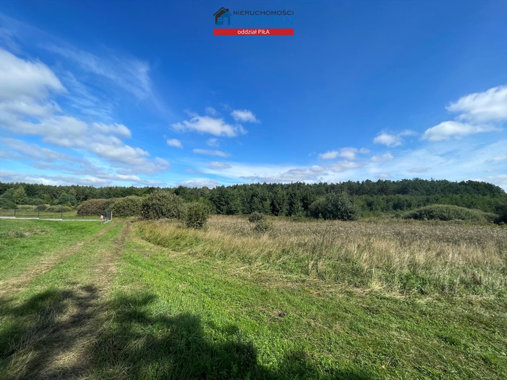 Działka budowlana na sprzedaż Rychlik  5 538m2 Foto 1