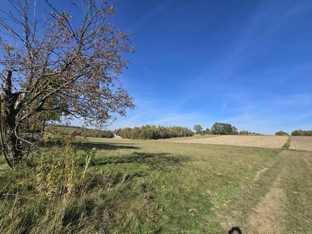 Działka inna na sprzedaż Wiącka  6 600m2 Foto 1