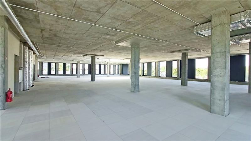 Lokal użytkowy na wynajem Gdynia, Chylonia, Hutnicza  810m2 Foto 6