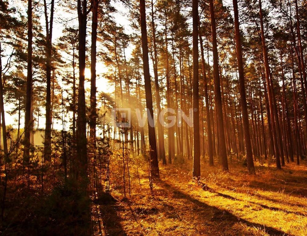 Działka budowlana na sprzedaż Inowrocław, Balczewo, Balczewo 1 002m2 Foto 1 Działka budowlana na sprzedaż Inowrocław, Balczewo, Balczewo 1 002m2 Foto 1