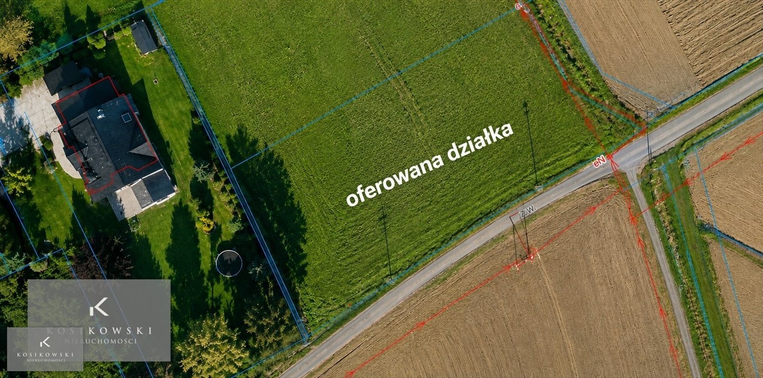 Zdjęcie 7