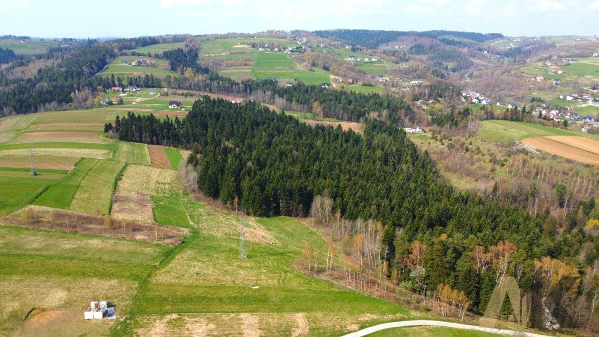 Działka budowlana na sprzedaż Paszyn  6 000m2 Foto 5