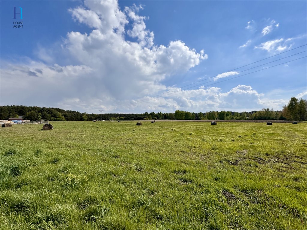 Działka budowlana na sprzedaż Stary Adamów, Działkowa  951m2 Foto 6